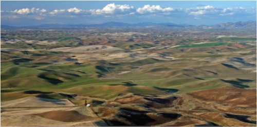 THE PALOUSE