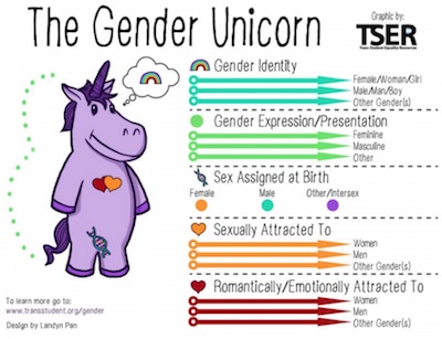 Gender Unicorn