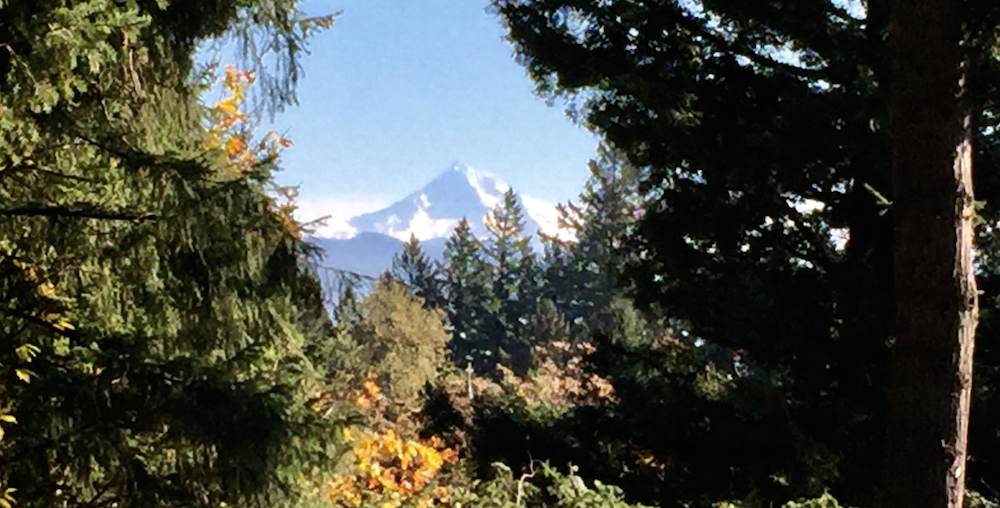 mt hood