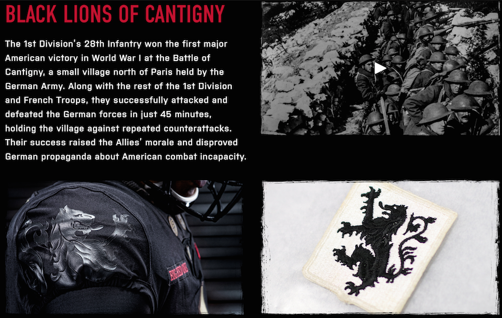 black Lions Story
