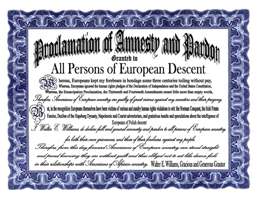 dr williams amnesty and pardon