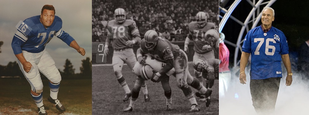 LIONS DT