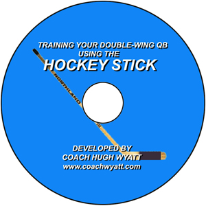 HOCKEY STICK DISC