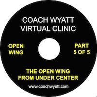 open wing clinic 5